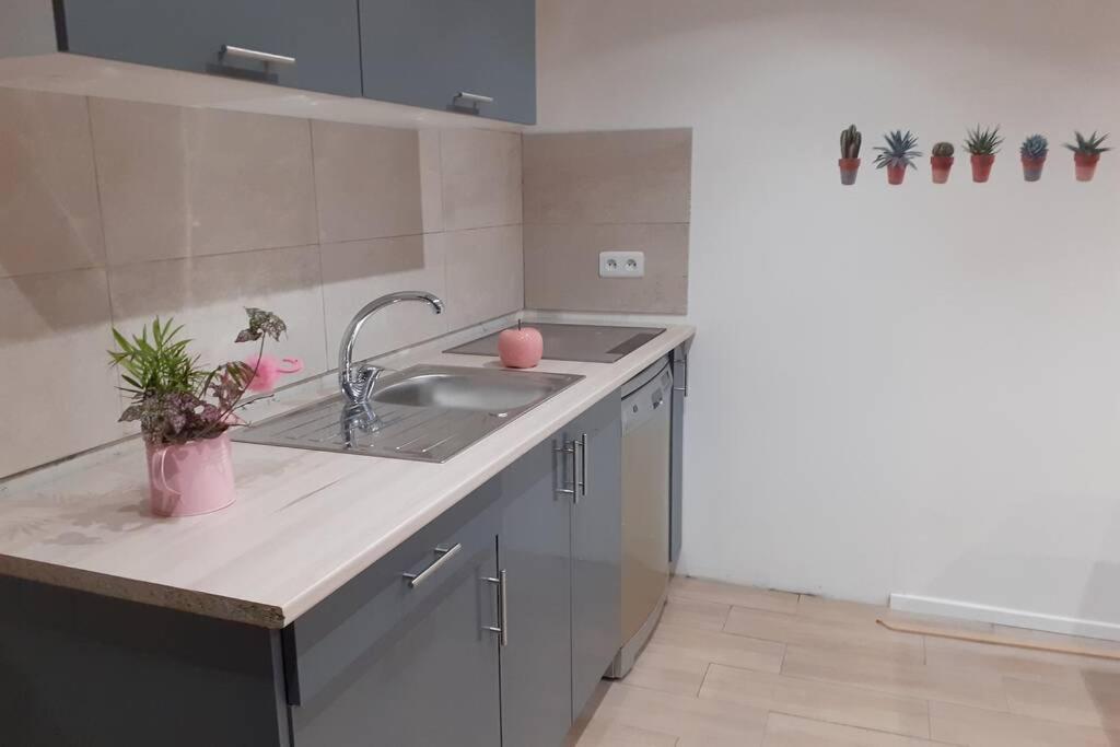Appartement 3 Pieces Dans Villa Individuelle Falicon エクステリア 写真